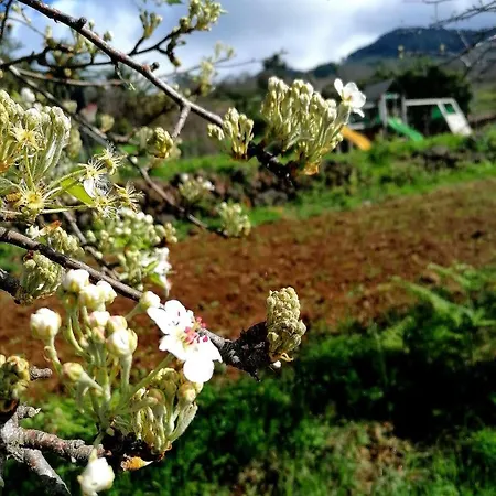 Suerteluna Casa Rural Appartement La Matanza De Acentejo